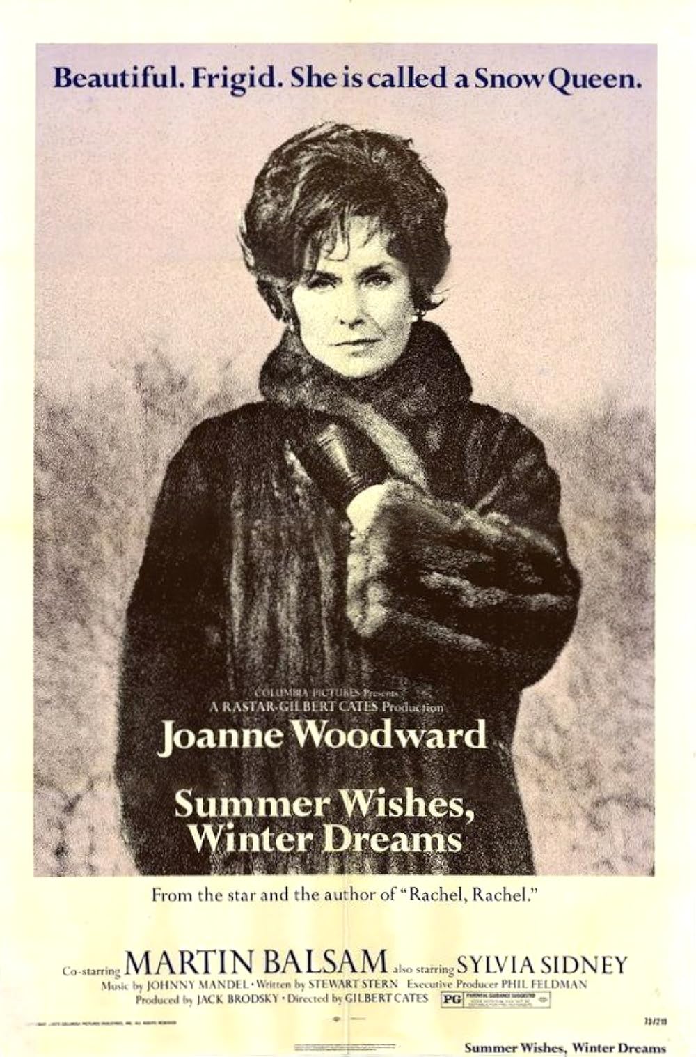 Vera: Sonhos de Inverno (Dublado) - 2019 - 1080p