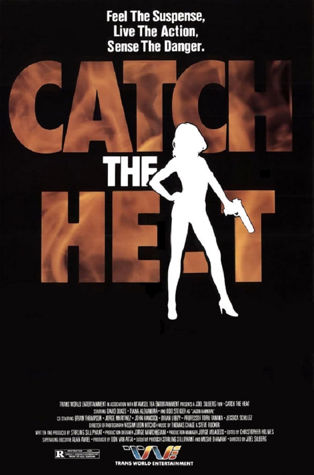 Operação Arriscada (Dublado) - 1995 - 1080p