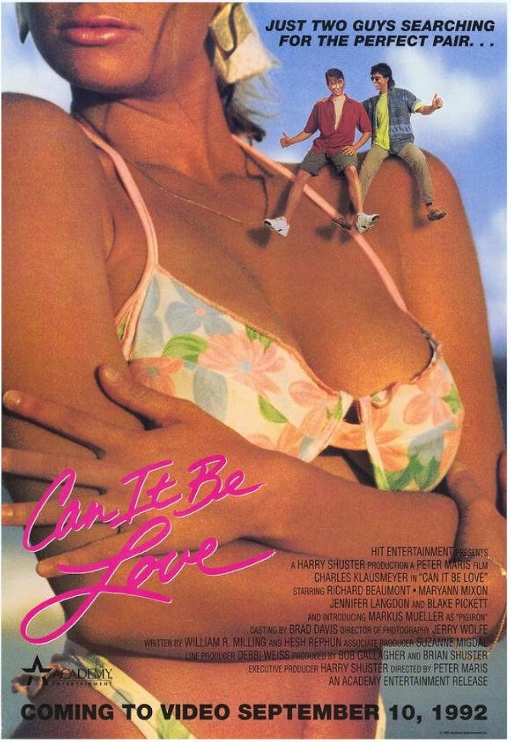 Procura-se Uma Herdeira (Dublado) - 1992 - 480p