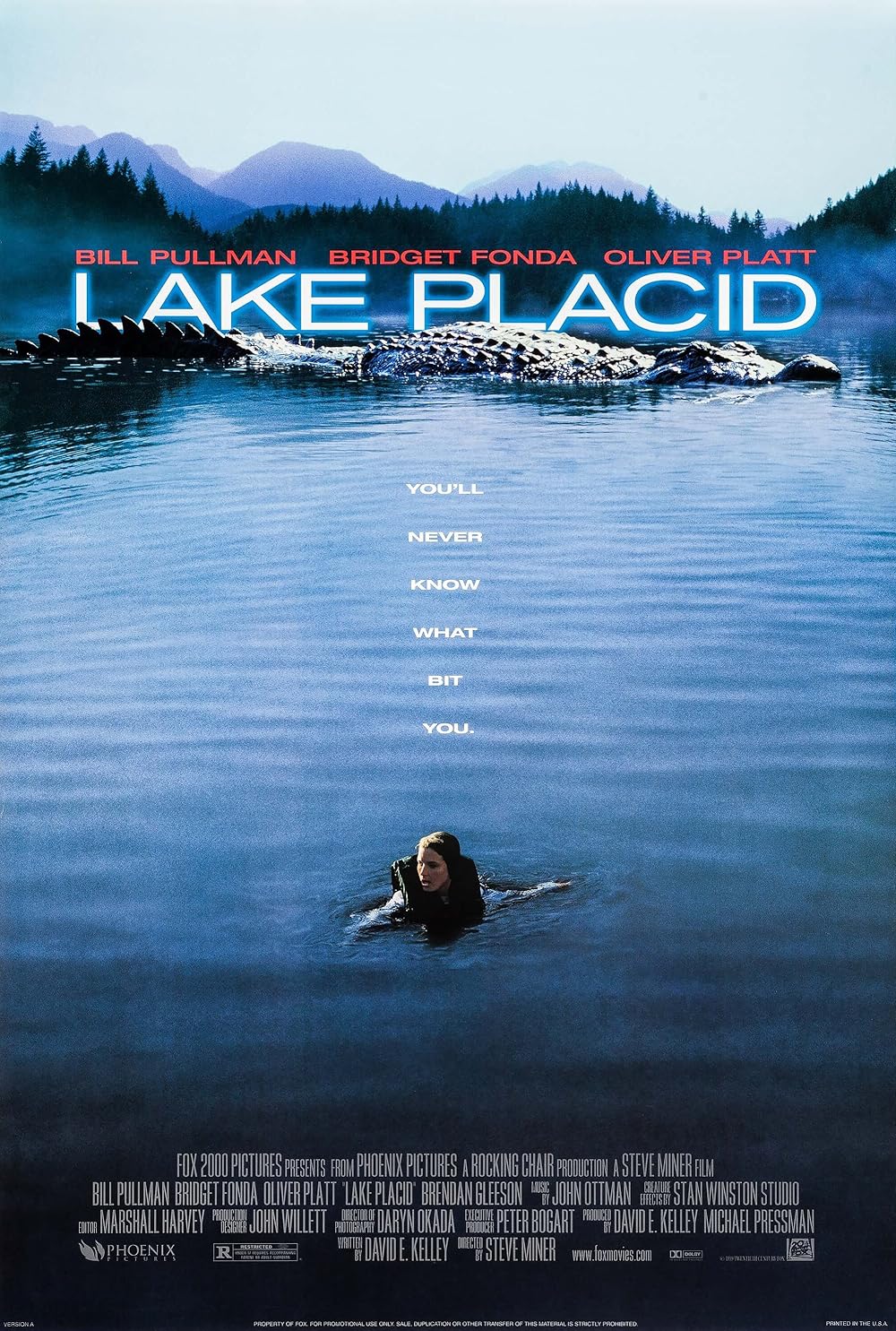 Pânico no Lago (Dublado) - 1999 - 1080p