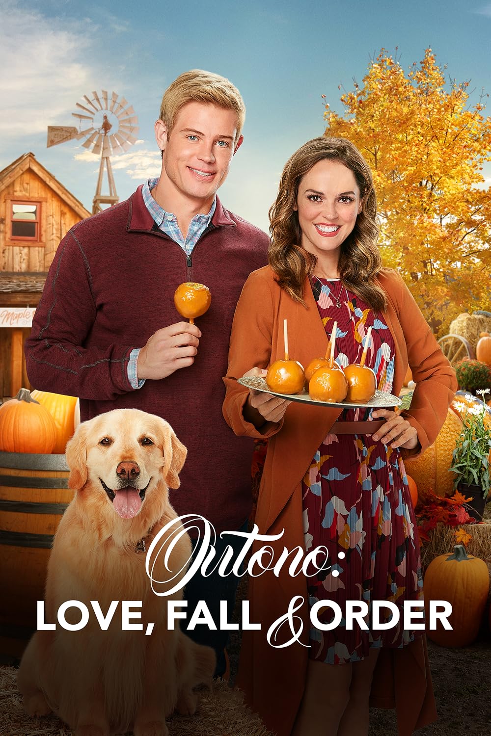 Outono: Love, Fall & Order (Dublado) - 2019 - 720p
