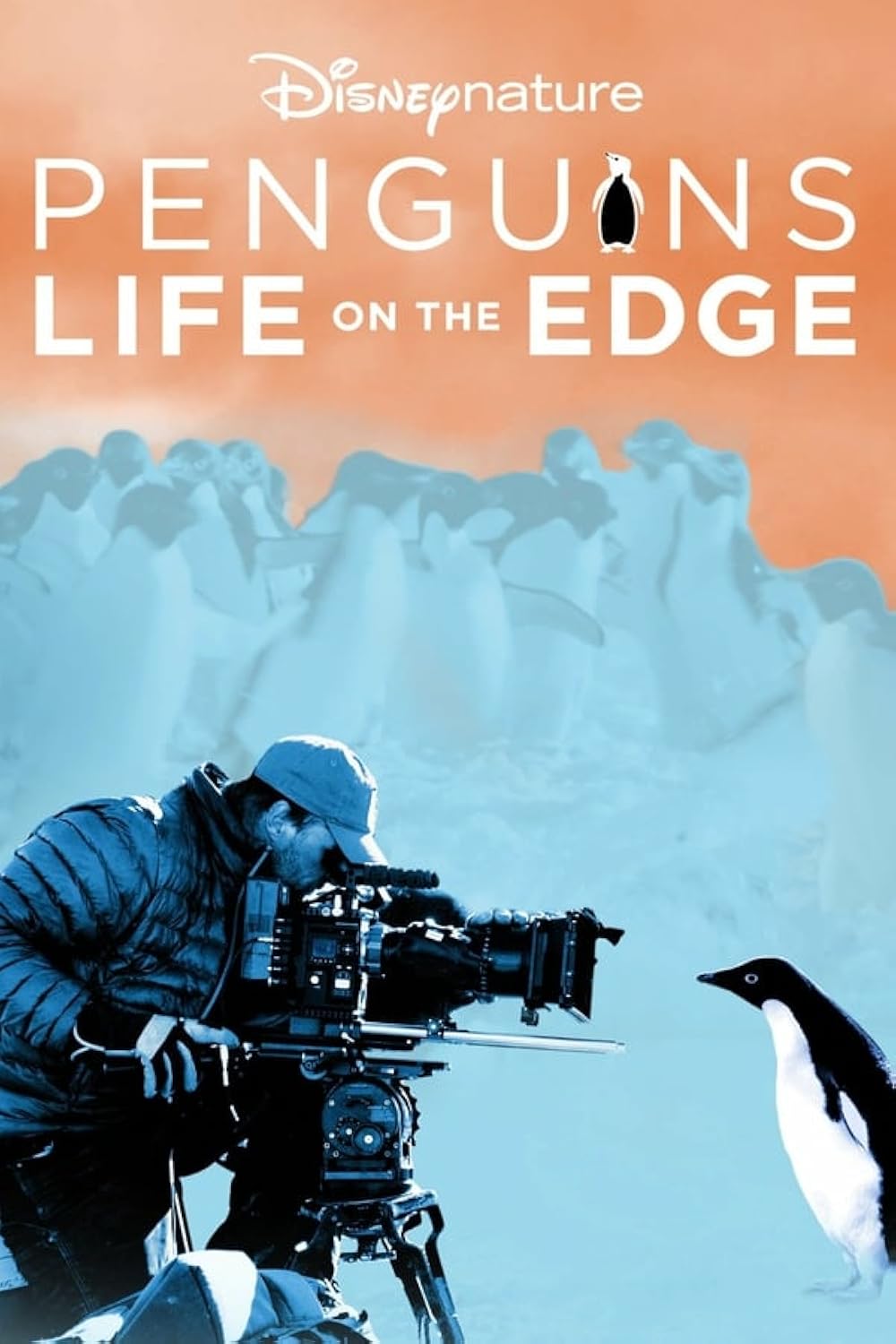Pinguins: Vida ao Extremo (Dublado) - 2020 - 1080p