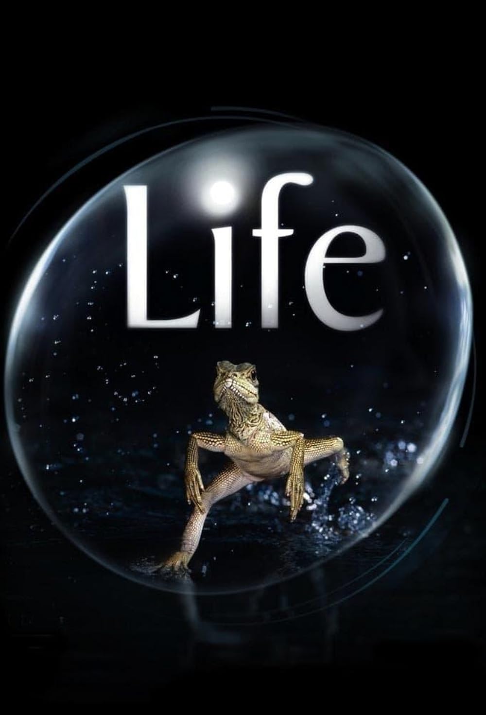 Vida Selvagem (Dublado) - 2019 - 1080p