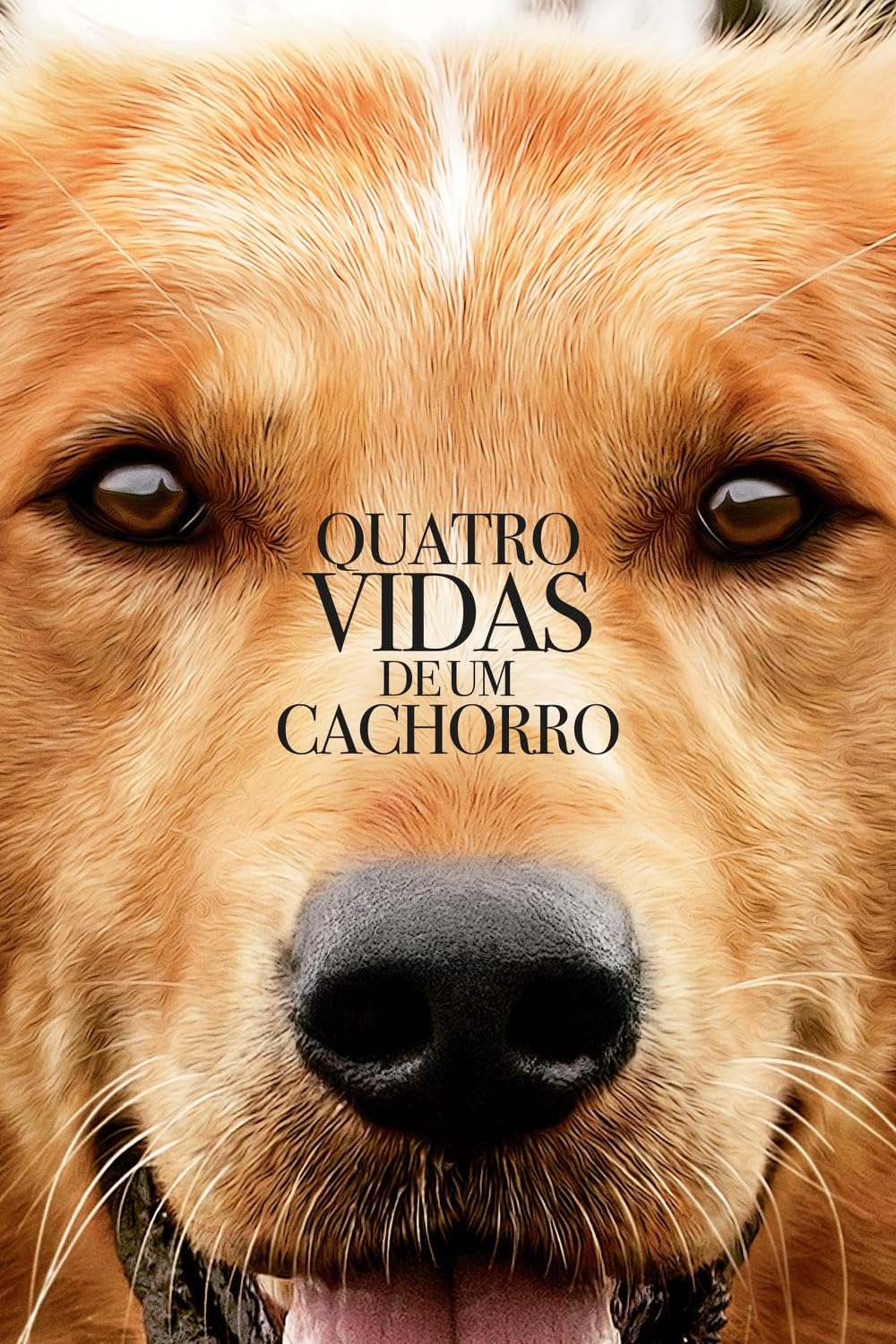 Quatro Vidas de um Cachorro (Dublado) - 2017 - 1080p