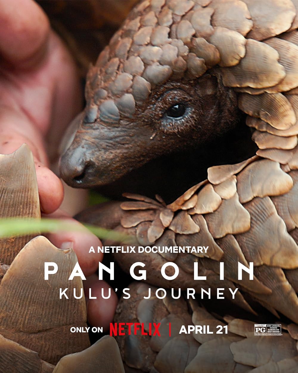 Pangolim: A Viagem de Kulu (Dublado) - 2025 - 1080p