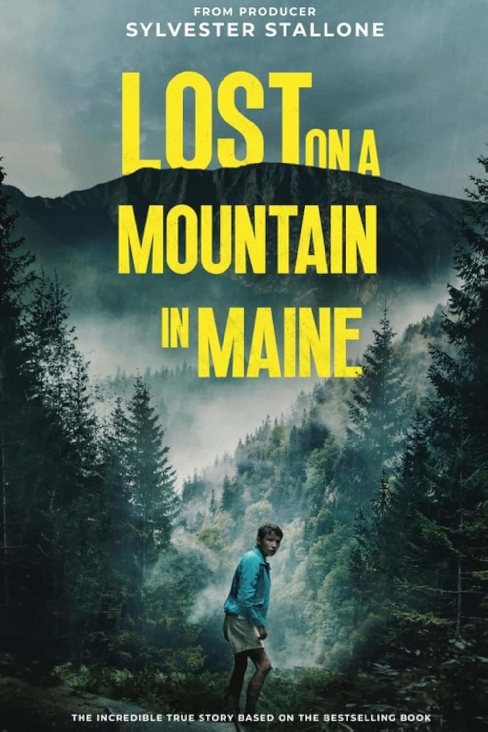 Perdido na Montanha (Dublado) - 2024 - 1080p