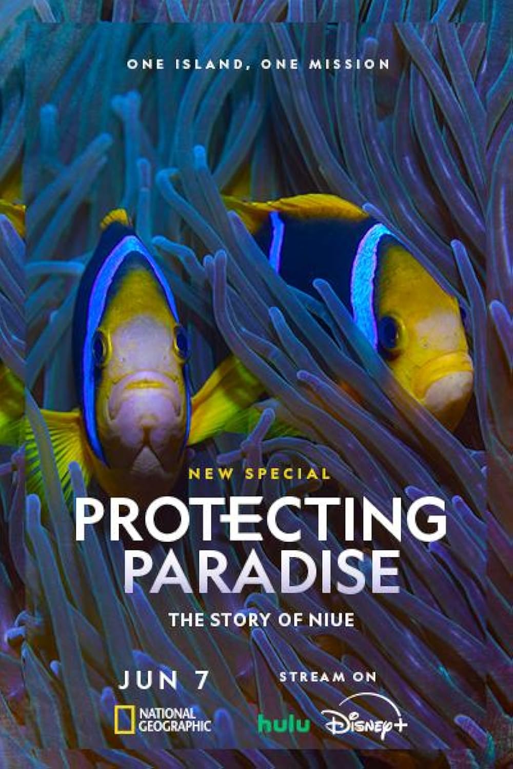 Protegendo o Paraíso: A História de Niue (Dublado) - 2024 - 1080p