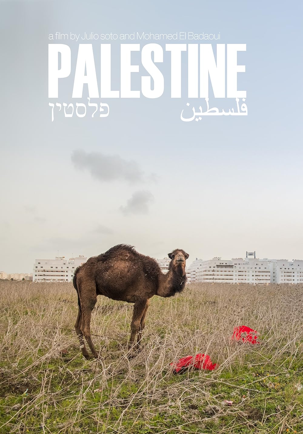 Palestina: Uma Terra em Conflito (Dublado) - 2017 - 1080p