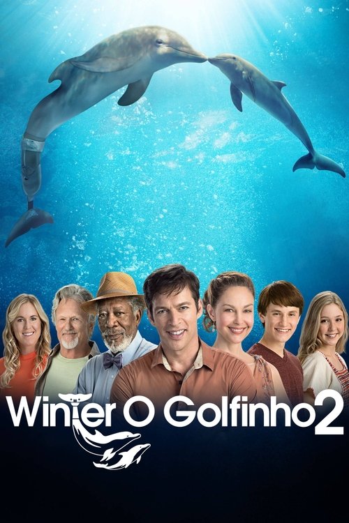 Winter, o Golfinho 2 (Dublado) - 2014 - 1080p