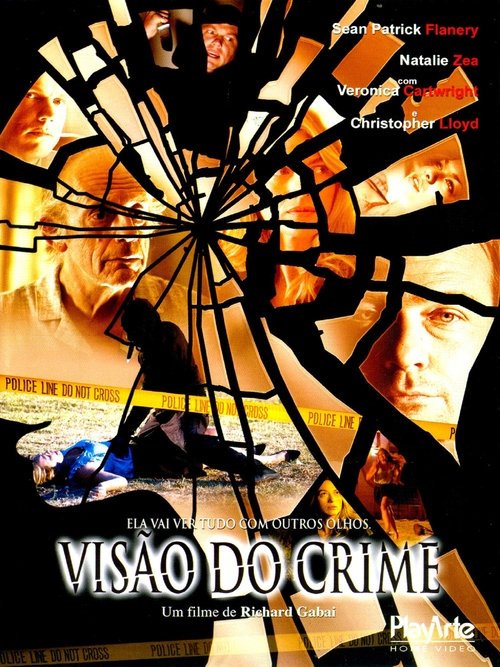 Visão do Crime (Dublado) - 2011 - 1080p